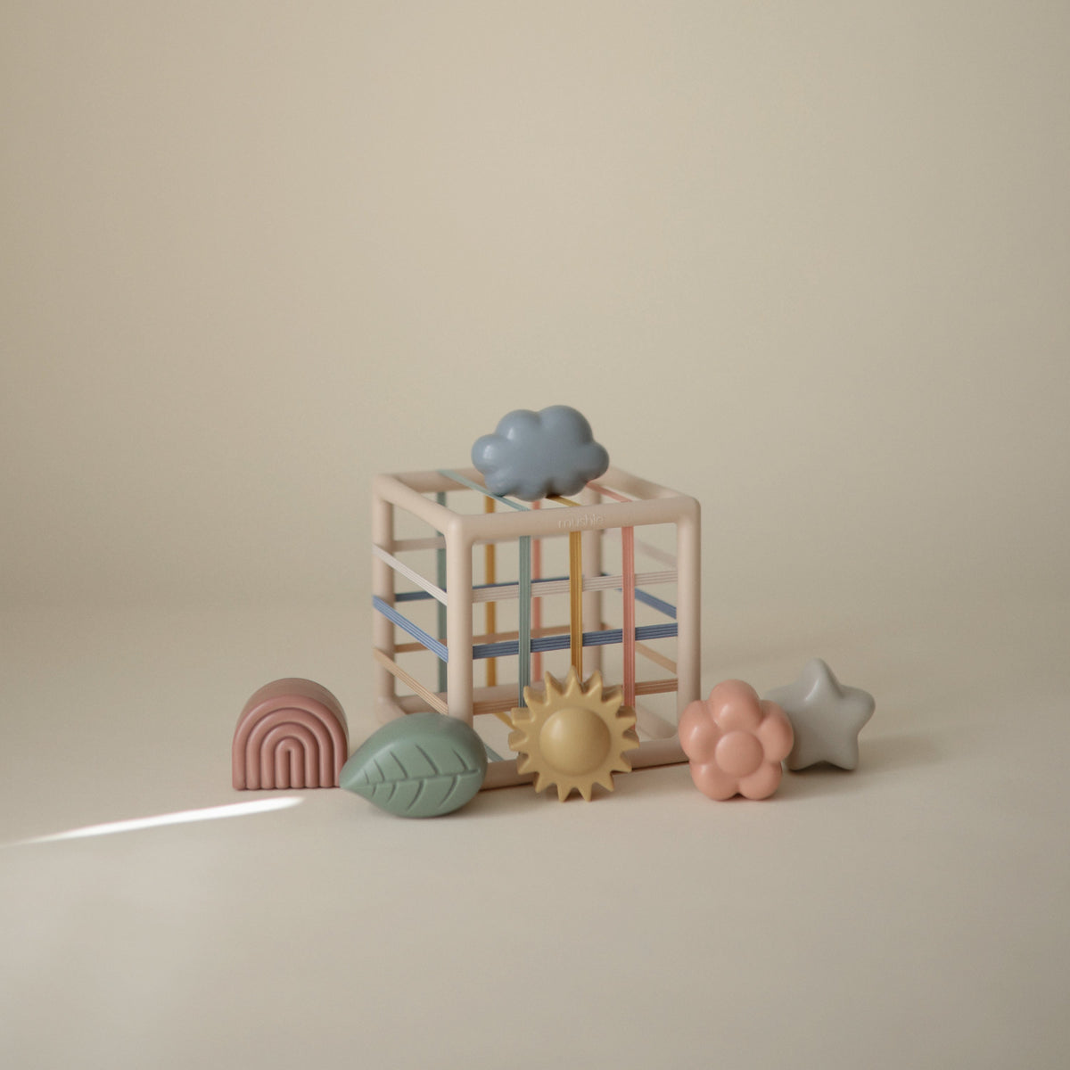 Flexible Shape Sorter
